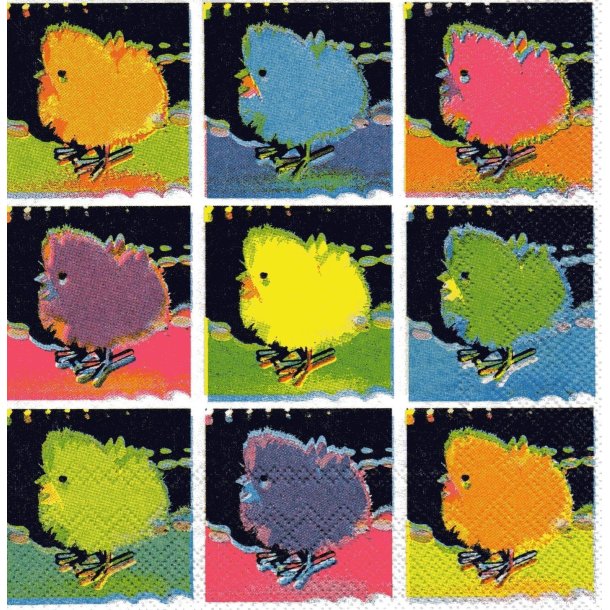 Click Moments: "Chickens Night"