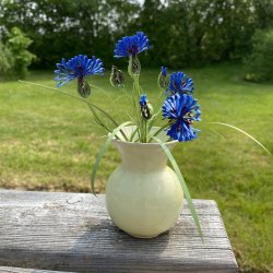 Kornblomst, Template