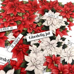 Dan Cuts: "Poinsettia" 
