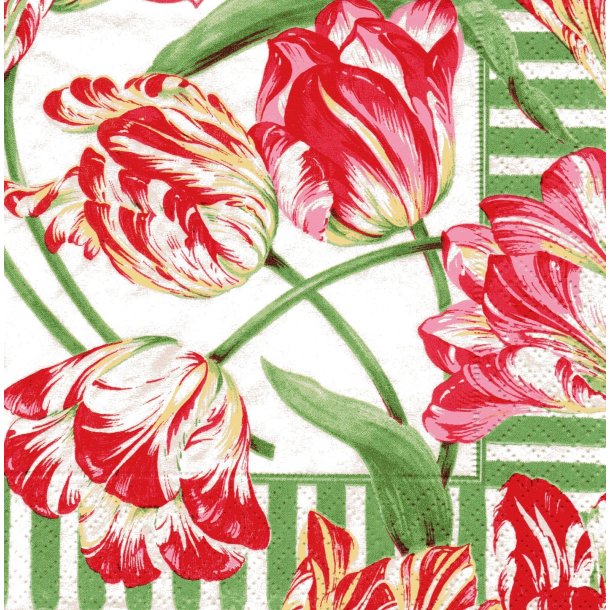Caspari: "Parrot Tulips"