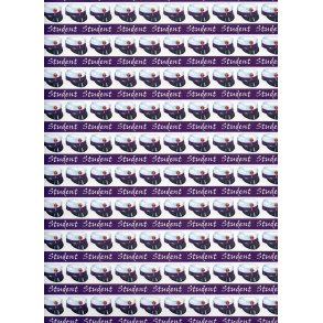 Hobbygros Design: Lilla Studenterhuer