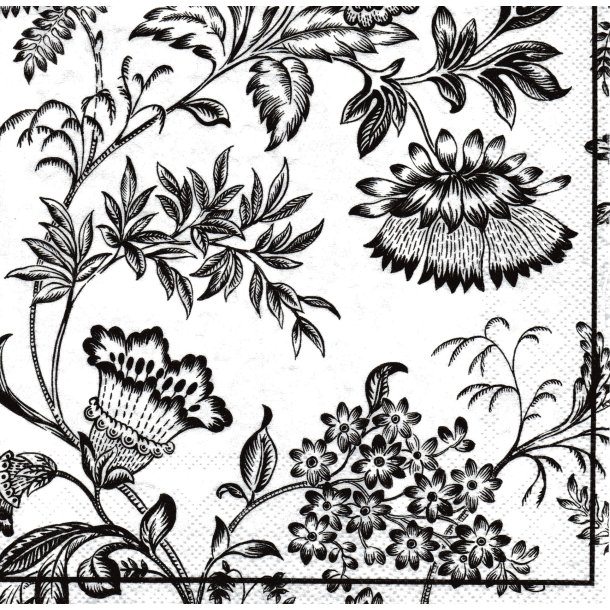 Ihr: "Florenze" - white/black