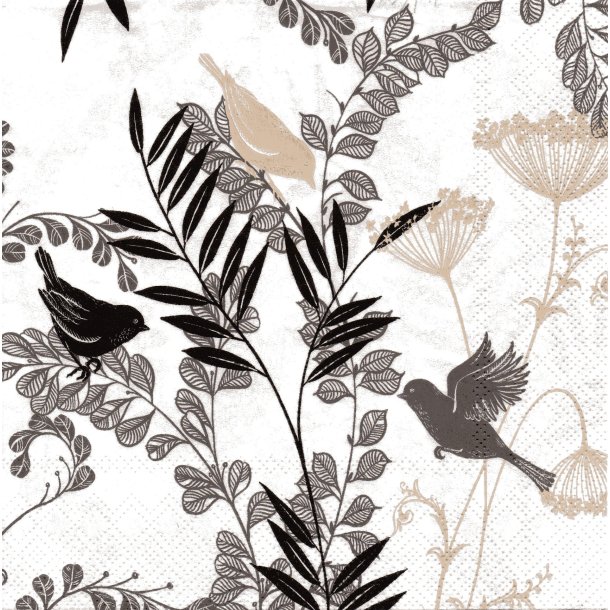 Ihr: "Voliere" - white/black