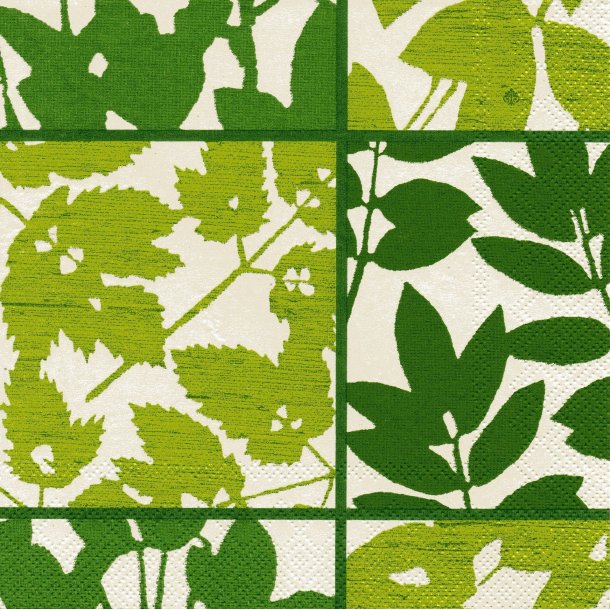 Ihr: "Greenhouse" - lime