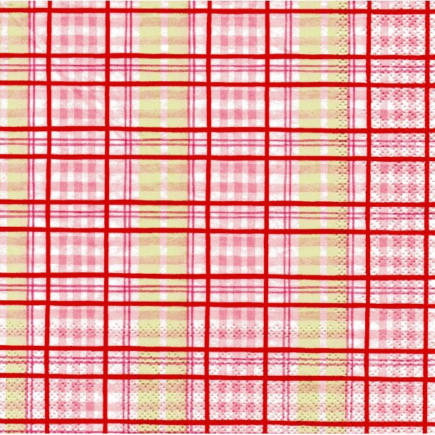 Ihr: "English Caro" - pink