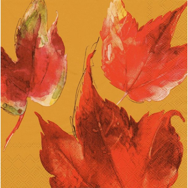 Ihr: "Liaison" - rouge