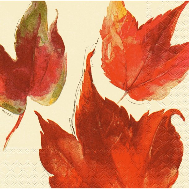 Ihr: "Liaison" - cream