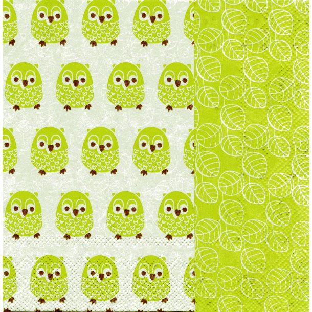 Ihr: "Little Owls" - light green