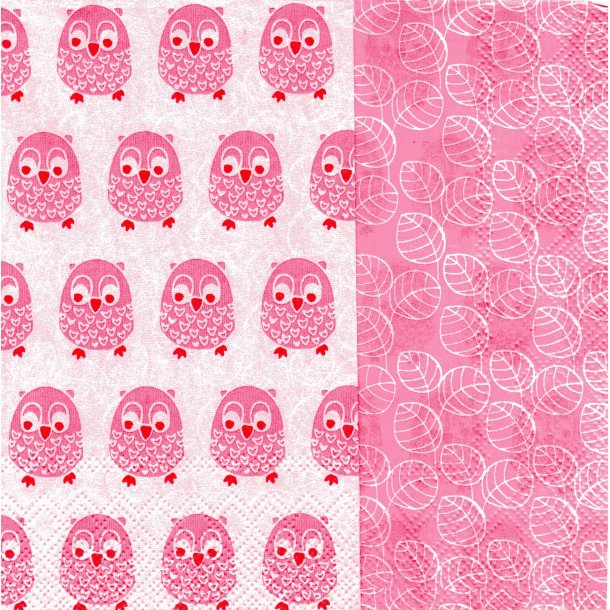 Ihr: "Little Owls" - rose