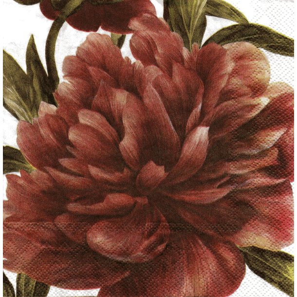 Ihr: "Pink Peonies"