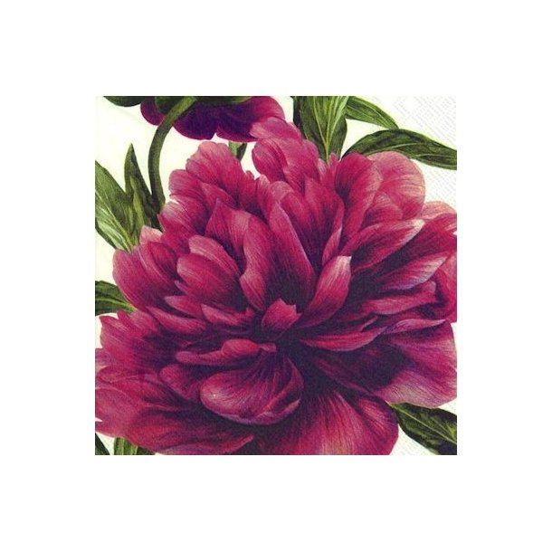 Ihr: "Pink Peonies"