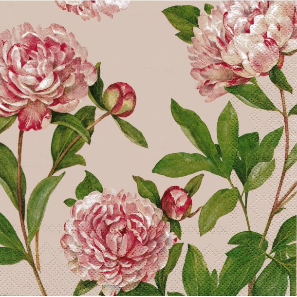 Ihr: "Paeonia" - linen