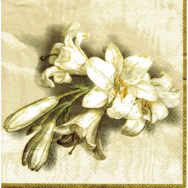 Ihr: "Purity of Heart" - cream
