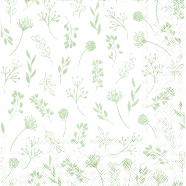 Ihr: "Tilda" - white/green
