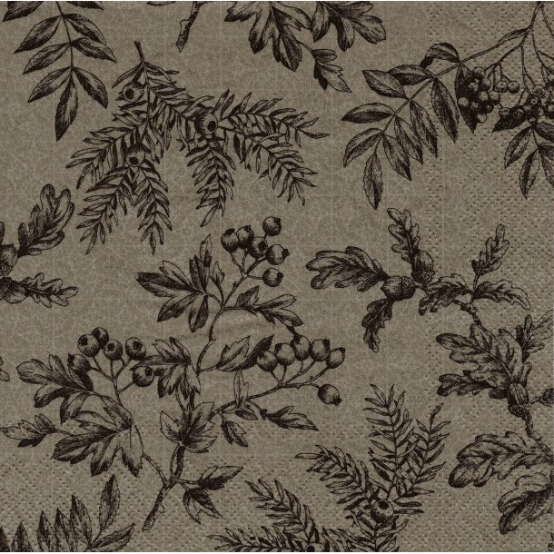 Ihr: "Silents Plants" - linen