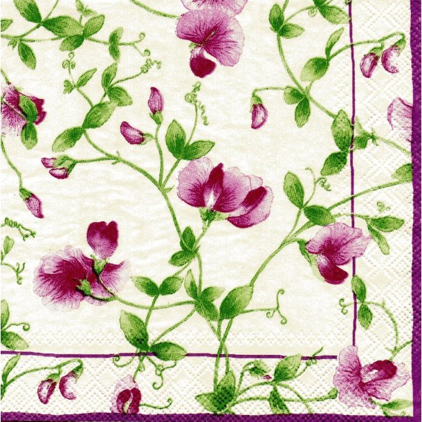 Ihr: "Sweet Pea" - cream/lilac
