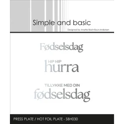 Simple and Basic Press Plate/Hot Foil Plate "F�dselsdag"  