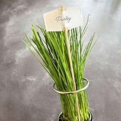 Simple and Basic: Clearstamp &amp; Dies "Danske Tekster"  