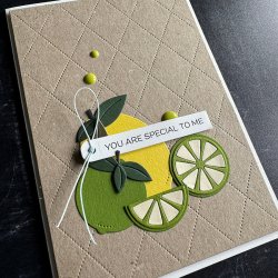 Simple and Basic Die "Drink with Orange and Lime" 