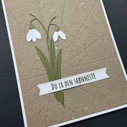 Simple and Basic Die "Snowdrop" 