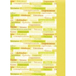 Karen Marie Klip: Ivory International Congratulations 