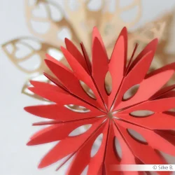 Alexandra Renke Die "Star Segment: Double Tip" 