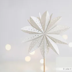 Alexandra Renke Die "Star Segment: Little Stars" 