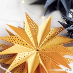 Alexandra Renke Die "Star Segment: with Hole Pattern" 