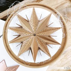 Alexandra Renke Die "Star Segment: with Hole Pattern" 