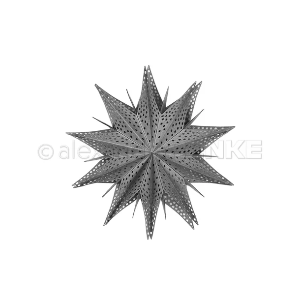 Alexandra Renke Die "Star Segment: with Hole Pattern" 