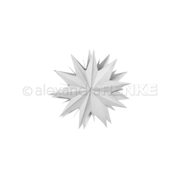 Alexandra Renke Die "Star Segment: Basic, medium" 