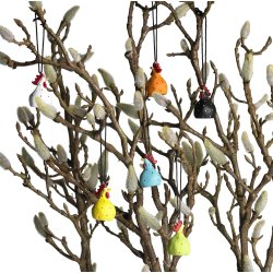 Nsgrnsgrden: Hngende hne, orange