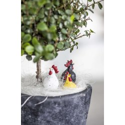 Nsgrnsgrden: Hne p pind, hvid