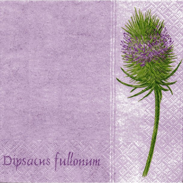 Home: "Thistle" - lilac