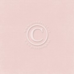 Pion Design: Summer Peonies