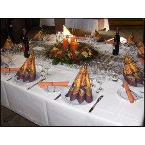 Inspiration til fest