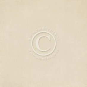 Pion Design: Beige I